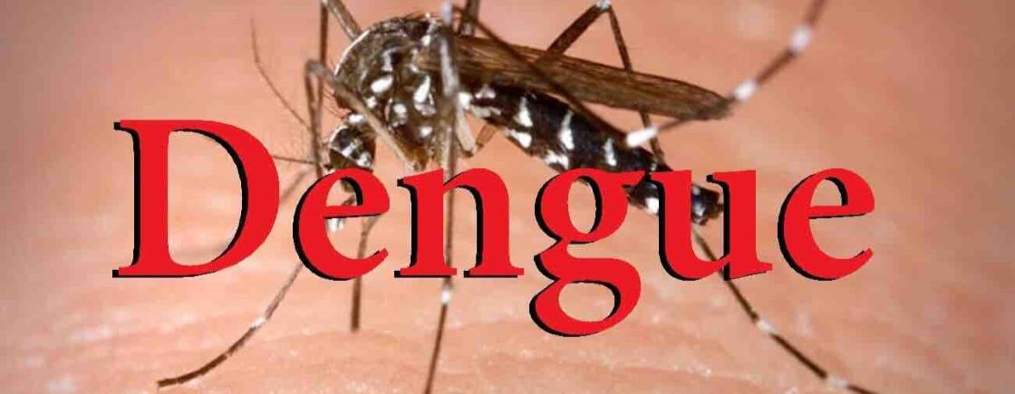 Dengue Report: 10-27-2019-RMI Dengue Sit Rep